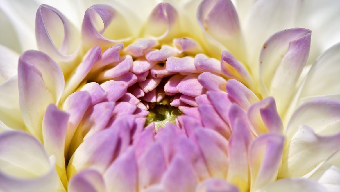 האם את מחכה עם הסקס כדי לבדוק אם הוא רציני?